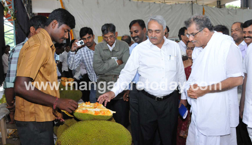 Jackfruit Mela